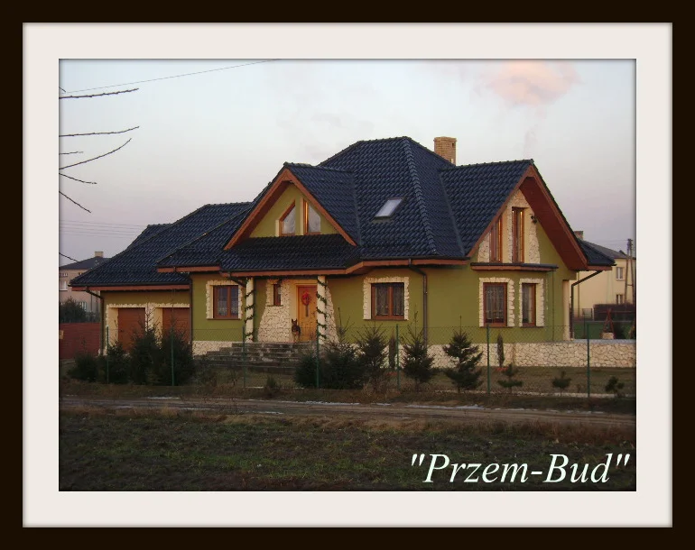 Zdjęcie z galerii