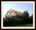 Zdjęcie z galerii